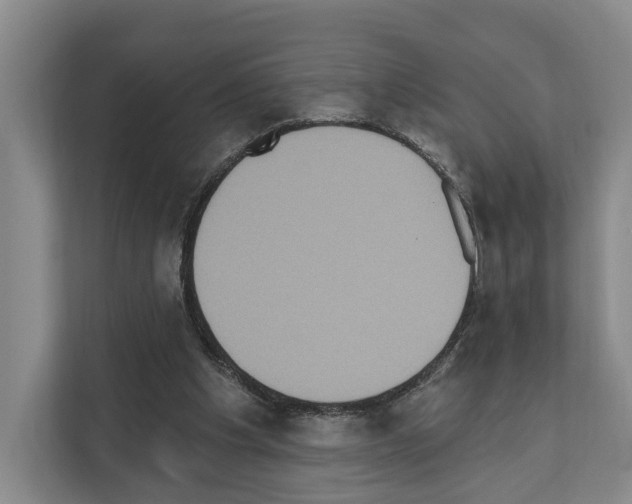 X0000111830201200909031520