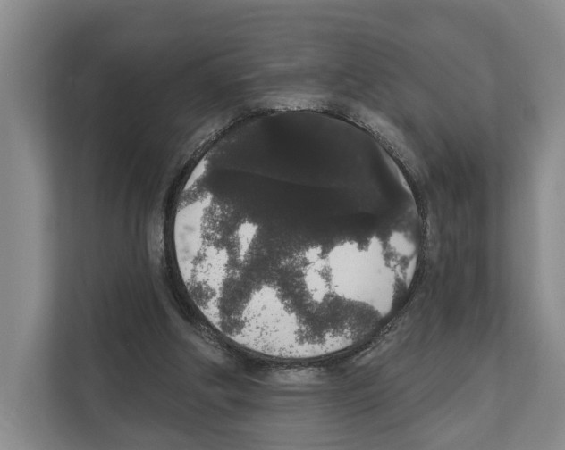 X0000111830202200909031520