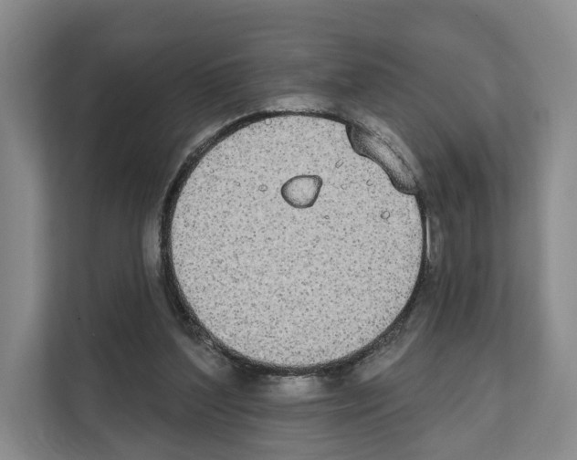 X0000111830204200909031520