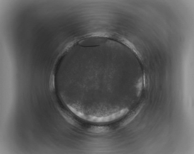 X0000111830205200909031520