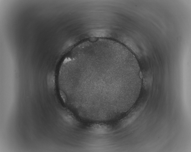 X0000111830207200909031520