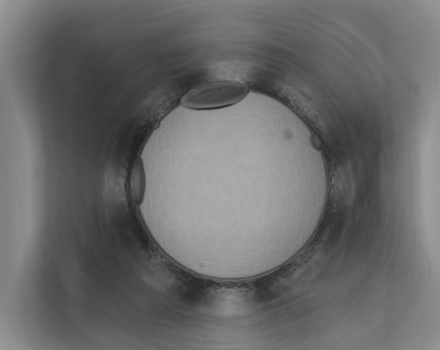 X0000111830209200909031520