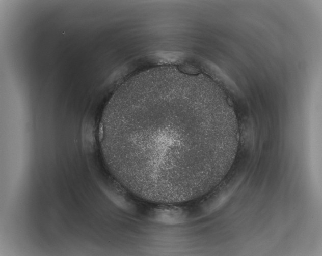 X0000111830215200909031520