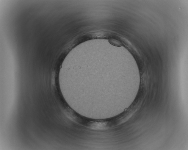 X0000111830217200909031520
