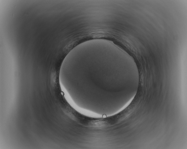 X0000111830219200909031520