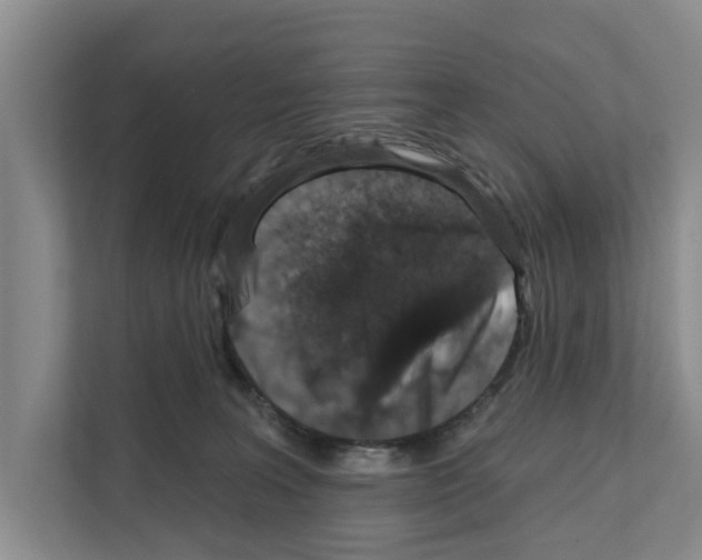 X0000111830227200909031520