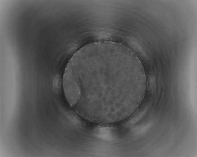 X0000111830228200909031520
