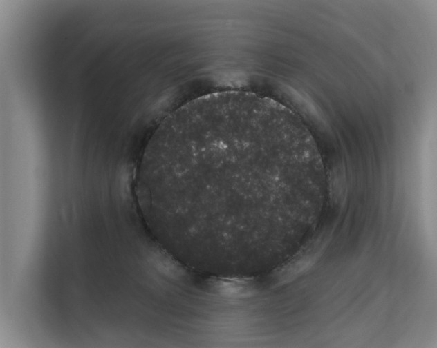X0000111830229200909031520