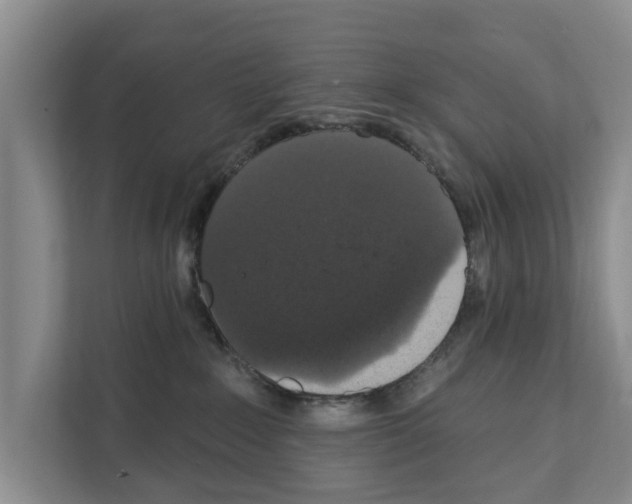 X0000111830235200909031520