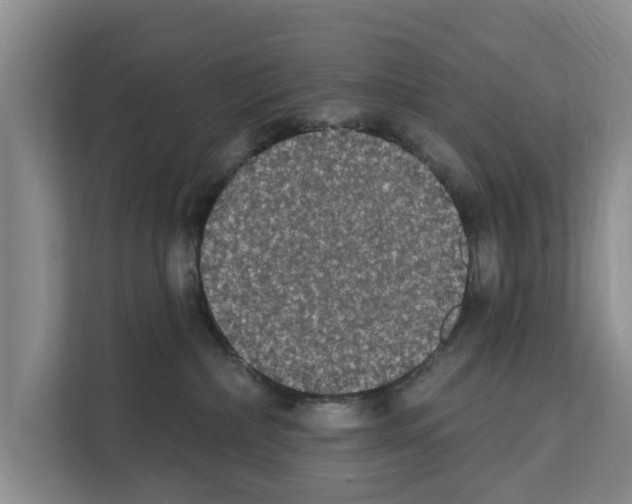 X0000111830236200909031520