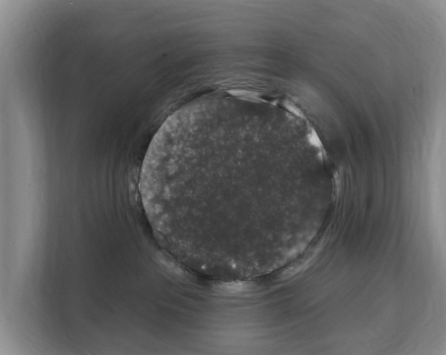X0000111830237200909031520