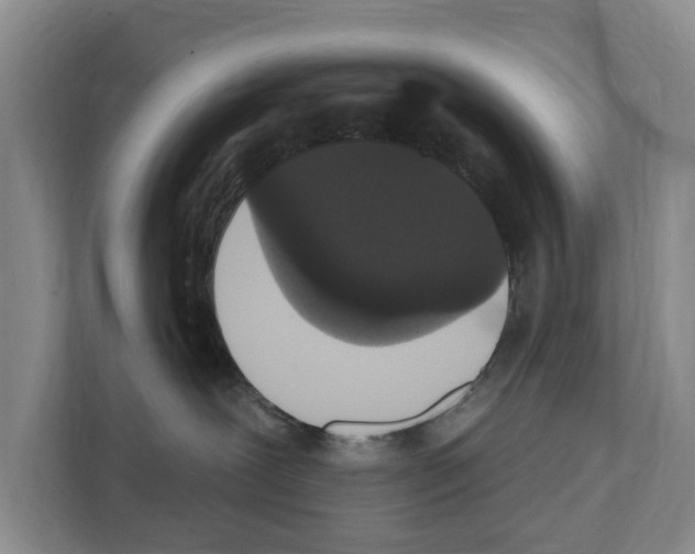 X0000111830239200909031520