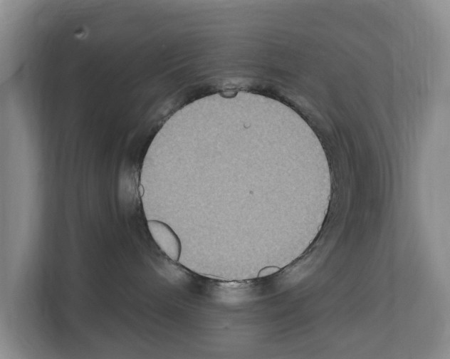 X0000111830240200909031519