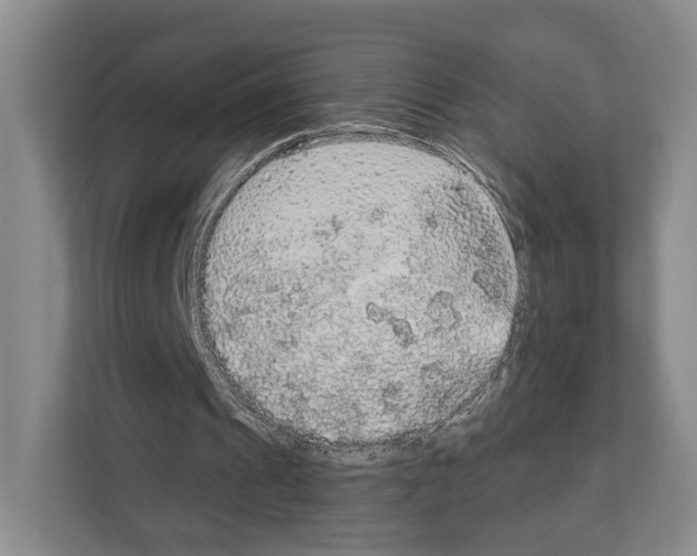 X0000111830241200909031519