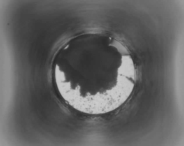 X0000111830243200909031519