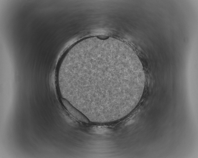 X0000111830244200909031519