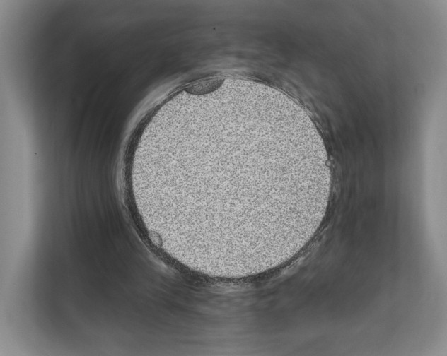 X0000111830245200909031519