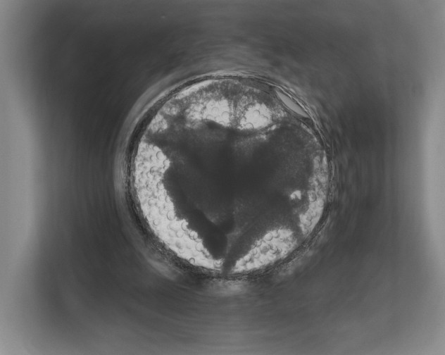 X0000111830247200909031519