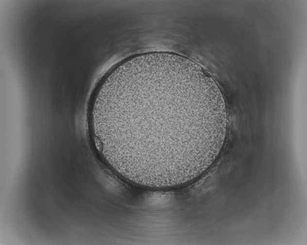 X0000111830248200909031519