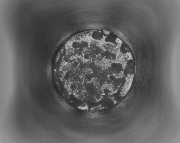 X0000111830249200909031519