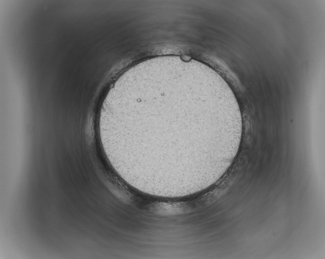 X0000111830250200909031519