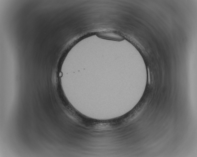 X0000111830252200909031519