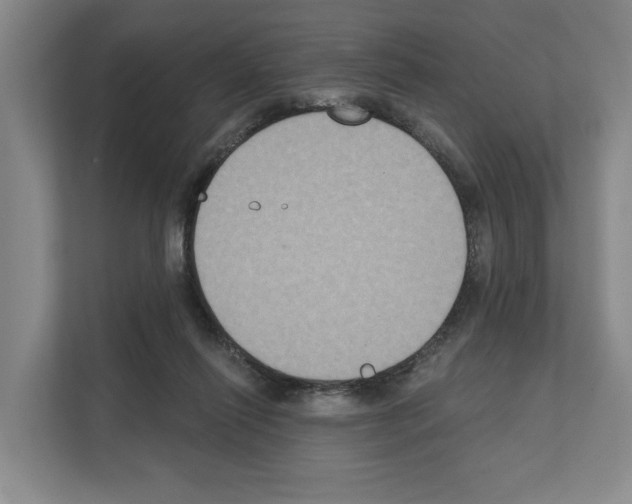 X0000111830262200909031519