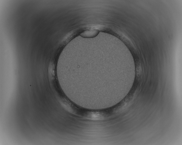 X0000111830264200909031519