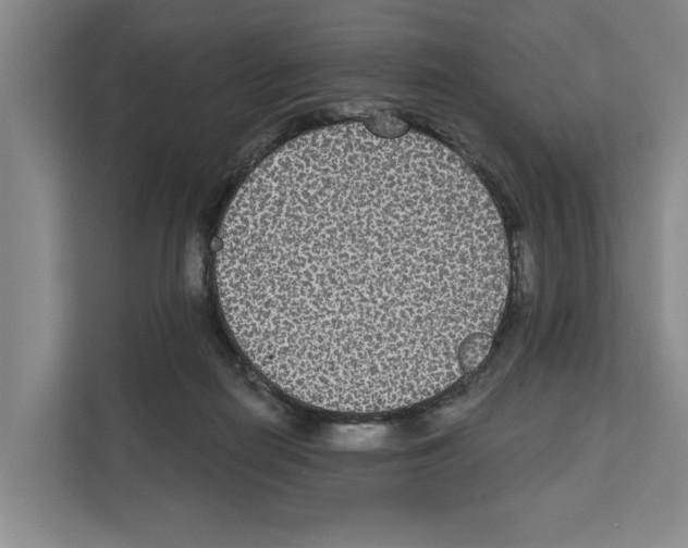 X0000111830266200909031519