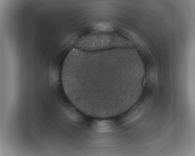 X0000111830268200909031519