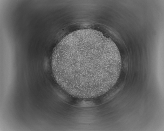 X0000111830270200909031519