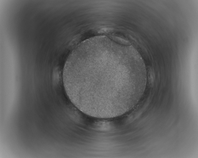 X0000111830276200909031519