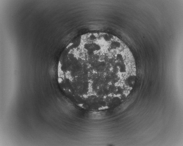 X0000111830277200909031519