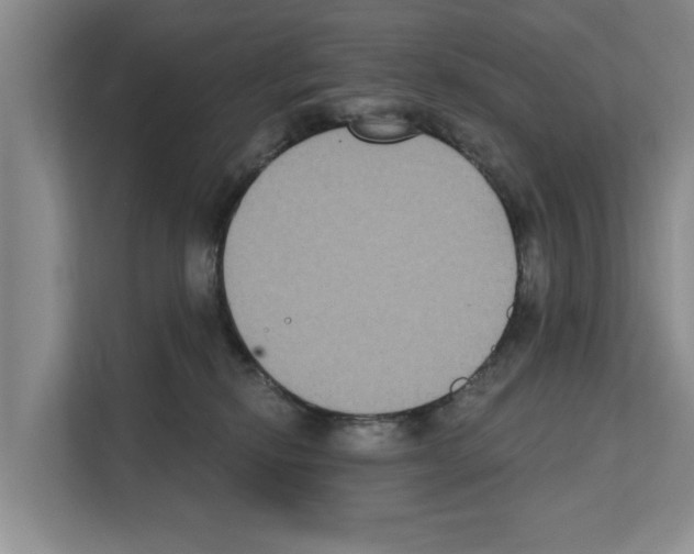X0000111830278200909031519