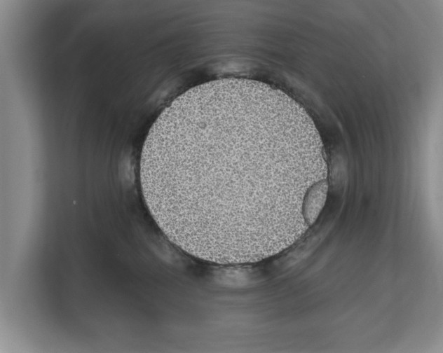 X0000111830282200909031519