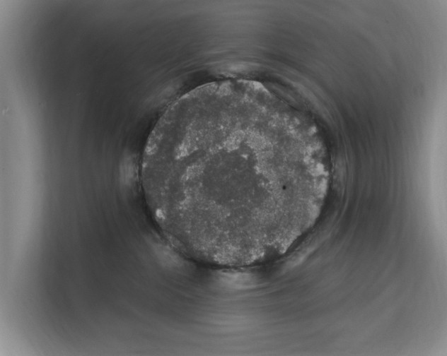 X0000111830284200909031519