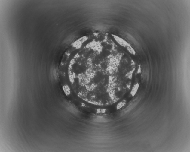 X0000111830285200909031519