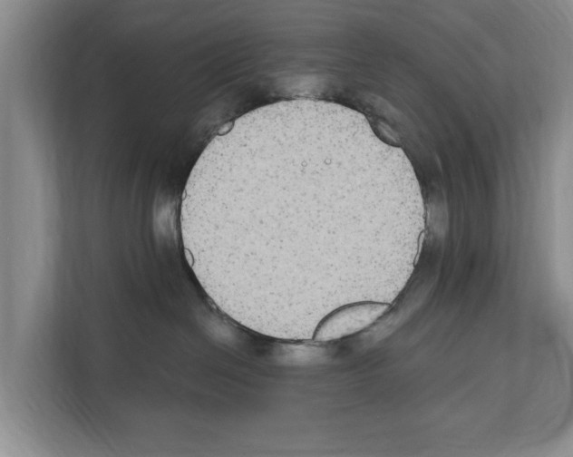 X0000111830286200909031519