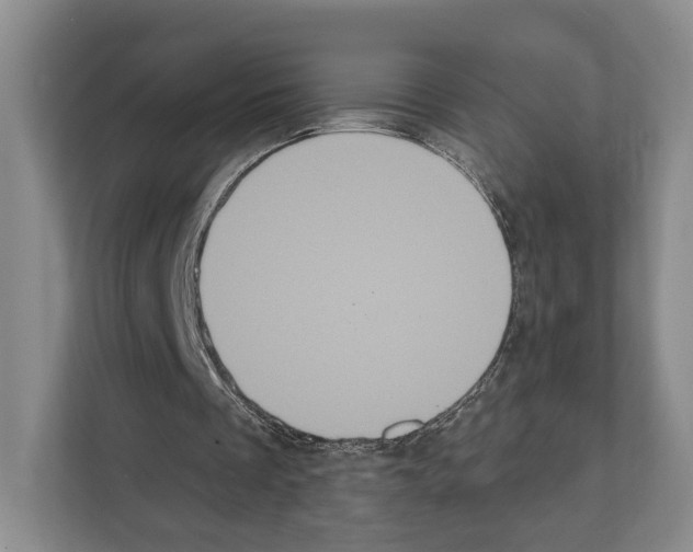 X0000111830289200909031519