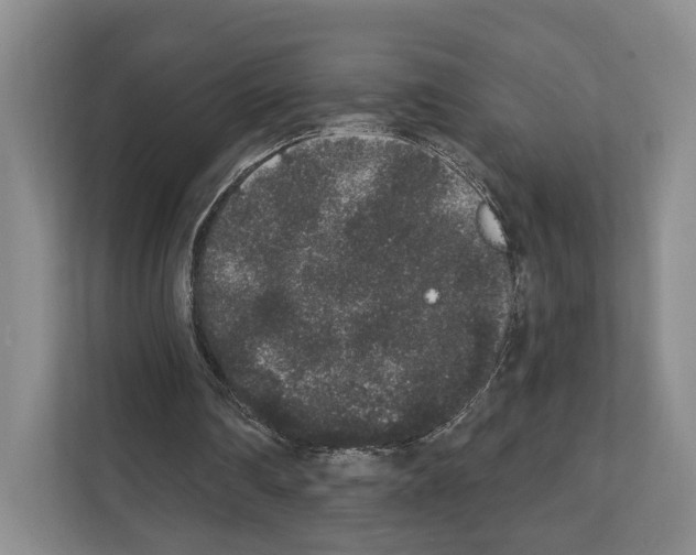 X0000111830290200909031519