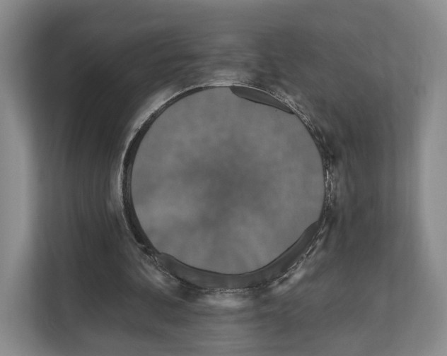 X0000111830292200909031519