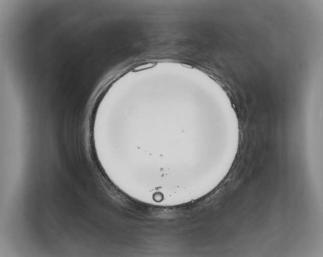 X0000111830293200909031519