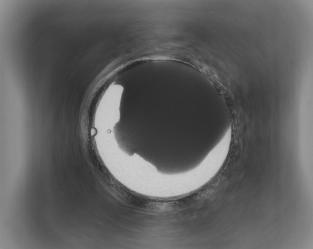 X0000111830295200909031519