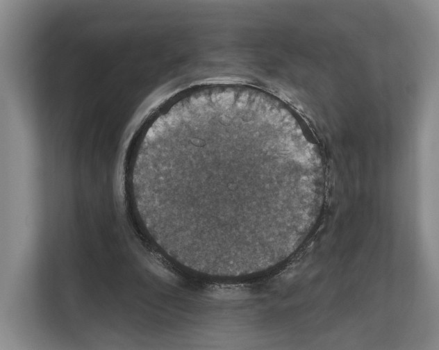 X0000111830296200909031519
