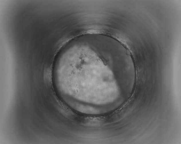 X0000111830297200909031519