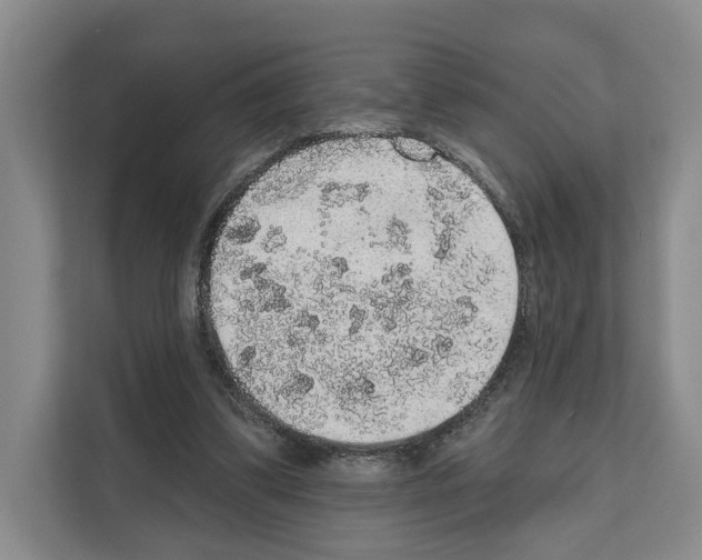 X0000111830299200909031519