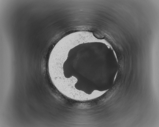 X0000111830303200909031519