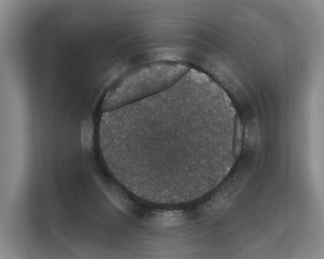 X0000111830304200909031519