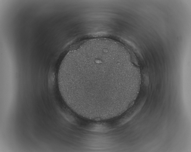 X0000111830308200909031519