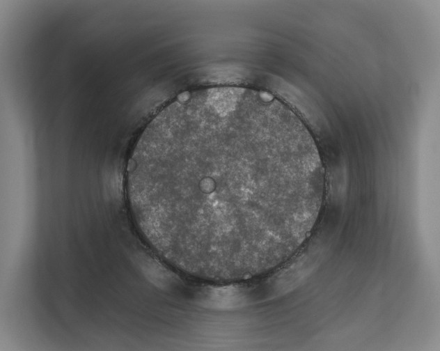 X0000111830309200909031519